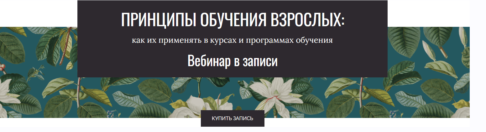 Елена Тихомирова - Принципы обучения взрослых. Тариф Сам за себя