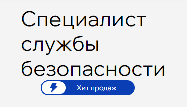 Русская школа управления / Сергей Барбашев, Марина Кобышева - Специалист службы безопасности