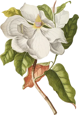 Елена Тихомирова - Тестирование со смыслом. Тариф Сам за себя